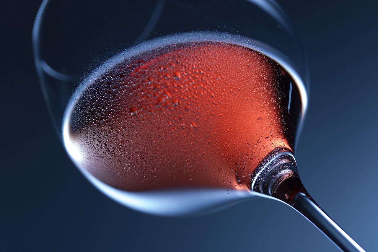 beoordeling van wine lovers wijnfles glas save water drink wijn review